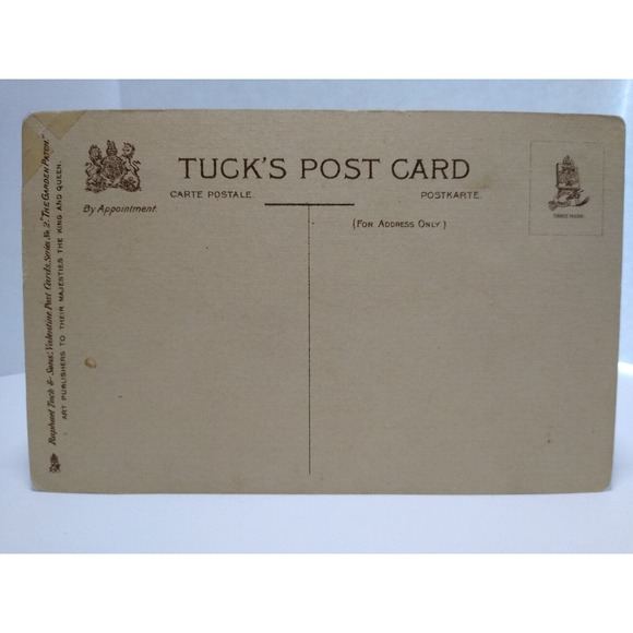 Fantasy Postcard Tuck E Curtis Carrot Head Anthropomorphic Garden Patch Series - Picture 4 of 4